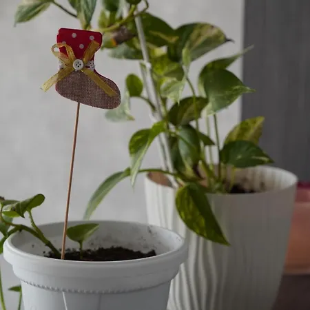 Goldview Appartement *