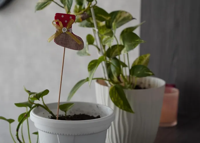 Goldview Appartement *